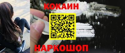 СК Кингисепп