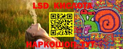 СК Кингисепп