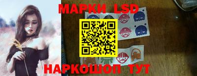 СК Кингисепп