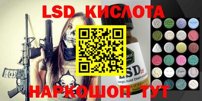 СК Кингисепп