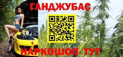 СК Кингисепп