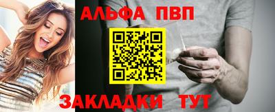 СК Кингисепп