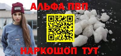 СК Кингисепп